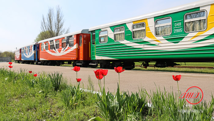 Вагоны Детской железной дороги ГП Донецкая железная дорога цветы природа