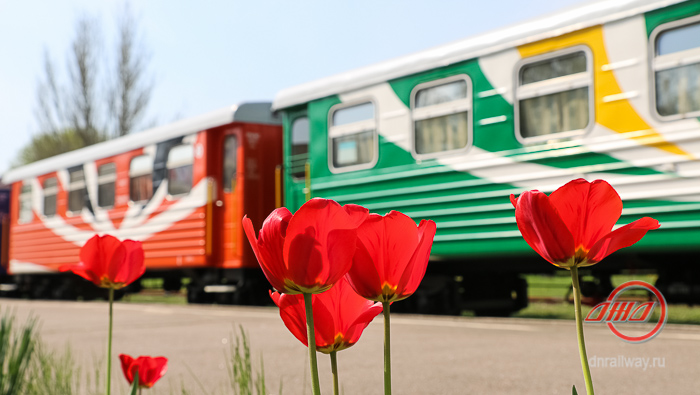 Вагоны Детской железной дороги ГП Донецкая железная дорога цветы маки природа