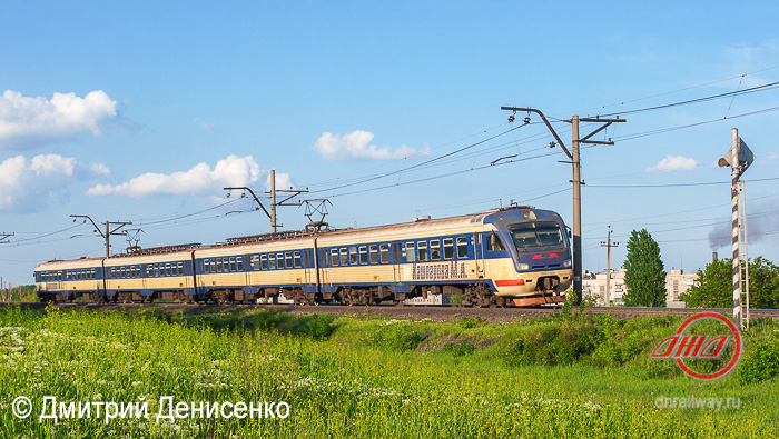 Пассажирская служба Донецкая ЖД электричка трава полевые цветы небо