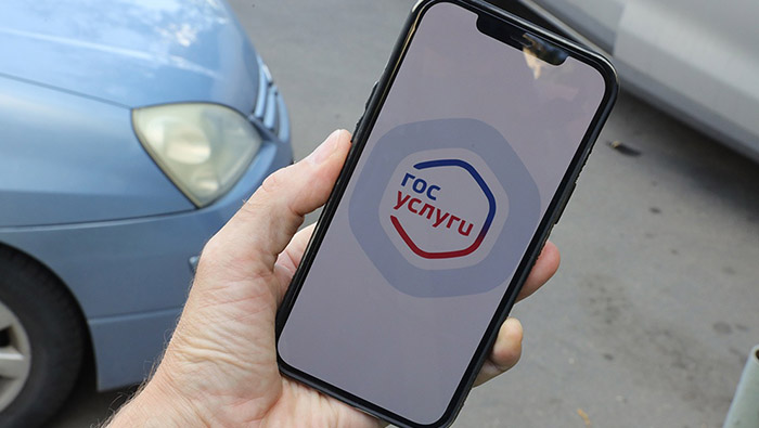 Госуслуги смартфон автомобили водительские чаты Федеральное государственное унитарное предприятие Железные дороги Новороссии Донецкая Народная Республика Российская федерация